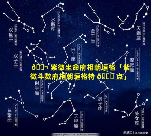 🐬 紫微坐命府相朝垣格「紫微斗数府相朝垣格特 🕊 点」